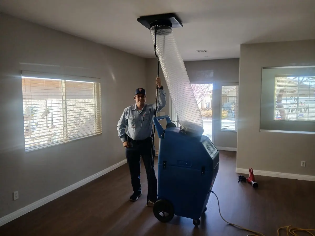 Professional Dryer Vent Cleaning work inside a Webster home